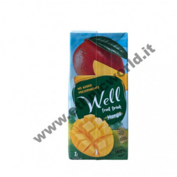 WELL SUCCO MANGO BRICK 1 LT